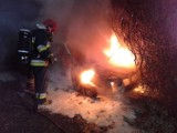 Tczew: Pożar samochodu osobowego! Auto całkowicie zniszczone