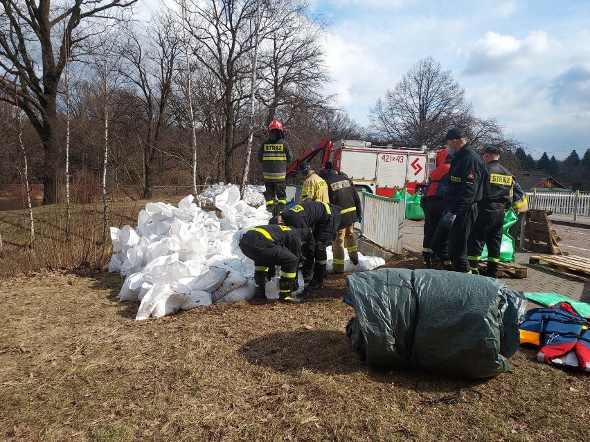 Ćwiczenia strażaków z Chorzowa na Kanale Regatowym w Parku...