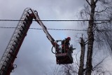 Wichura na Pomorzu. Strażacy interweniowali 18 razy