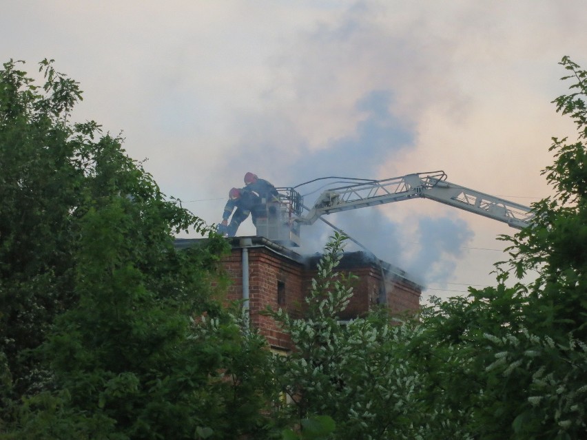 Pożar na Teofilowie w Łodzi. Palił się budynek przy ul. Cedry [ZDJĘCIA, FILM]