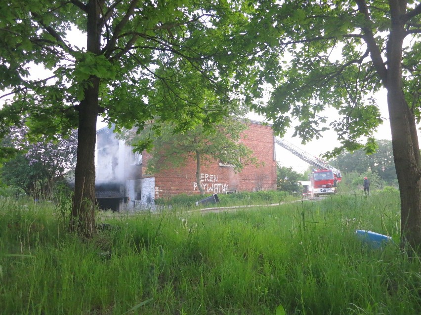Pożar na Teofilowie w Łodzi. Palił się budynek przy ul. Cedry [ZDJĘCIA, FILM]
