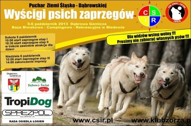 Dąbrowa Górnicza: wyścigi psich zaprzęgów w Błędowie