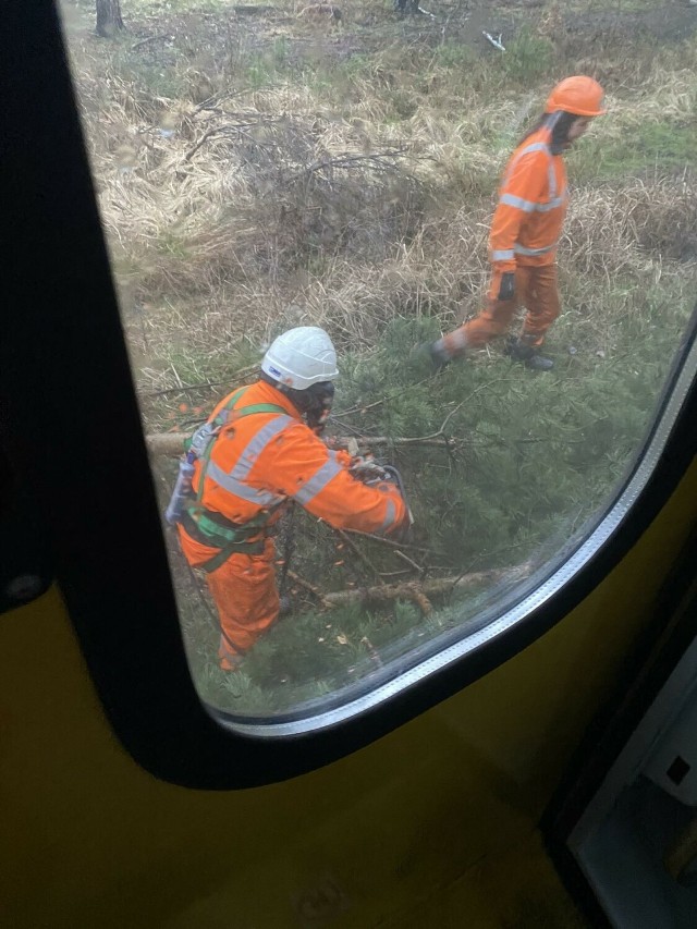 Trwa ewakuacja 105 pasażerów w unieruchomionym pociągu, który uderzył w leżące na torach drzewo, które w wyniku gwałtownej burzy, przewróciło się na sieć trakcyjną.