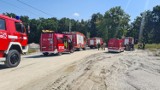Policjanci i strażacy z powiatu brzeskiego i tarnowskiego poszukiwali 67-latka, który zasłabł w lesie i stracił orientację