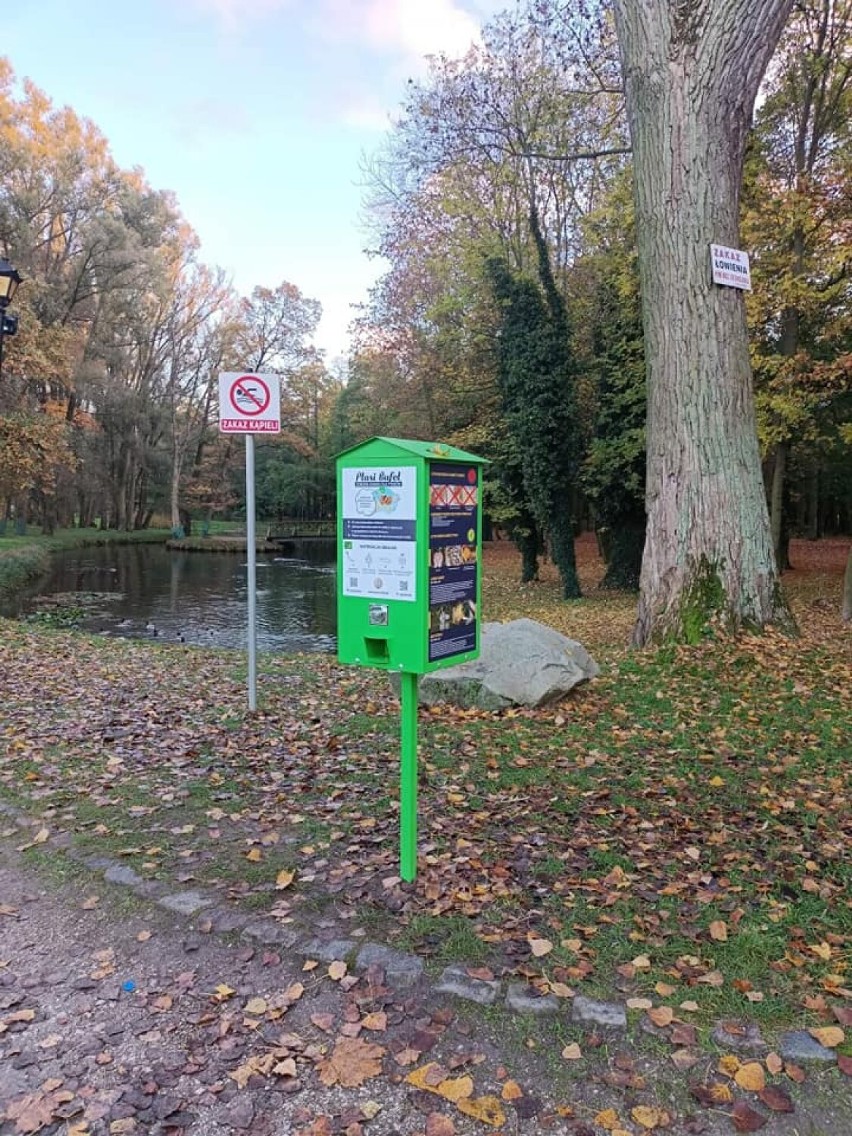 Ptasi Bufet pojawił się w Parku Leśnym "Planty" w Pleszewie!...