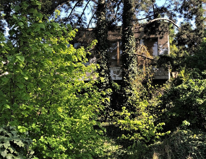Kiedyś dom na wypasie, a teraz ruina. Opuszczony dom z basenem przy ulicy Szybowników w Lesznie 