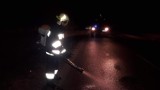 Wypadek na trasie Korne - Lipusz 22.03.2021. Jeleń wyskoczył na drogę i zderzył się z samochodem osobowym