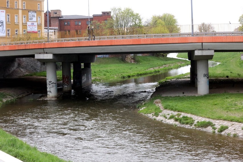 Legnica: Operacja czysta rzeka po raz drugi w naszym mieście, zobaczcie zdjęcia
