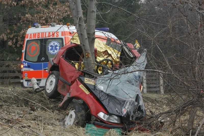 Wypadek w Strzegomianach 9 kwietnia 2013 (ZDJĘCIA)