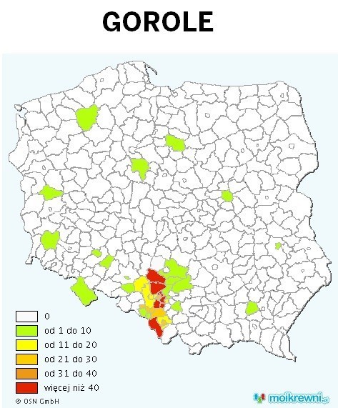 Mapa nazwisk w regionie: Najwięcej Hanysów jest w Zagłębiu, a Goroli na Śląsku