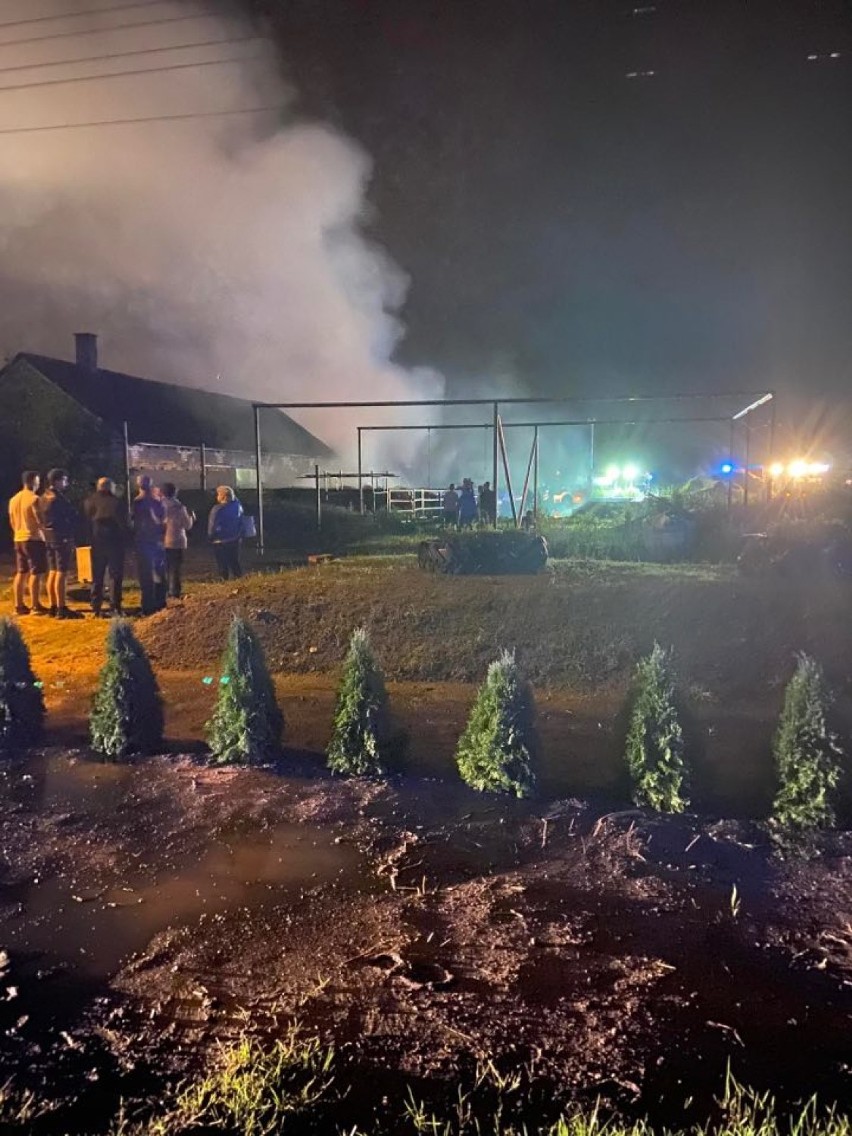 Duży pożar w powiecie aleksandrowskim. Pożar obory ze zwierzętami. 9 zastępów straży pożarnej akcji [zdjęcia]