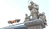 Stary Rynek: Arka na dachu Arsenału [WIDEO]