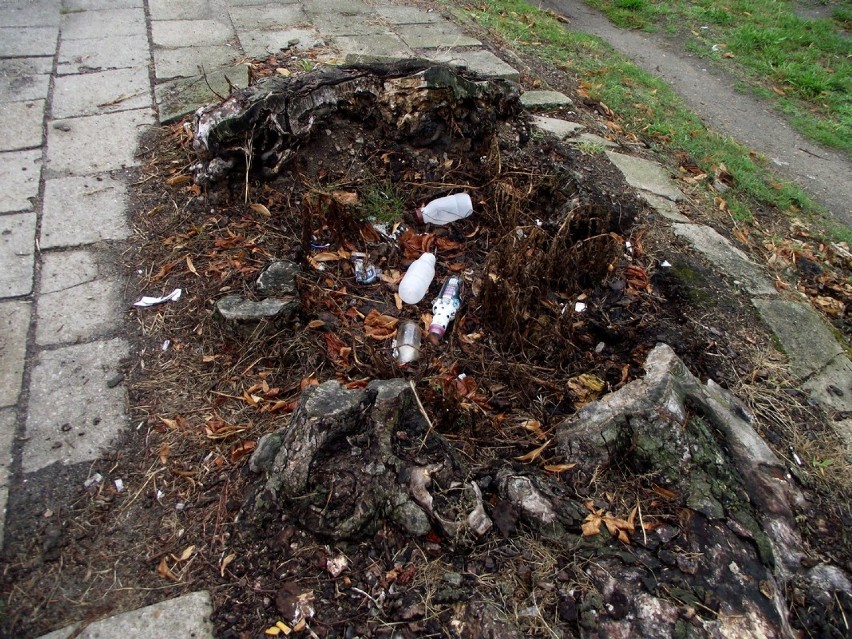 Dlaczego domowe śmieci trafiają do koszy w mieście, na cmentarzu lub wyrzucane są na niezabudowane działki