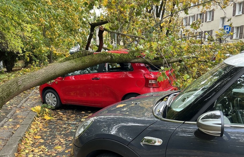 Sytuacja z ul. Akademickiej w Białymstoku. Połamane drzewo...