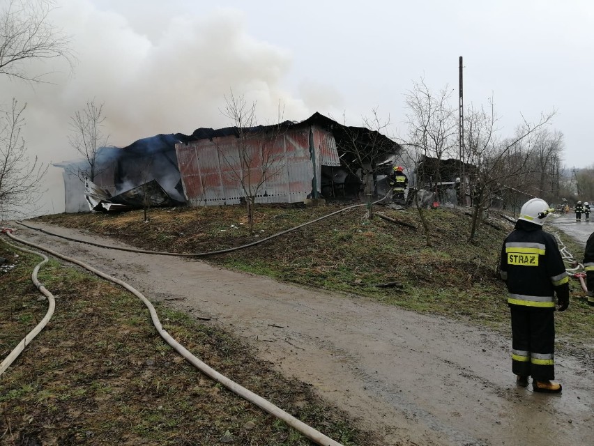 Strażacy walczą z pożarem hali