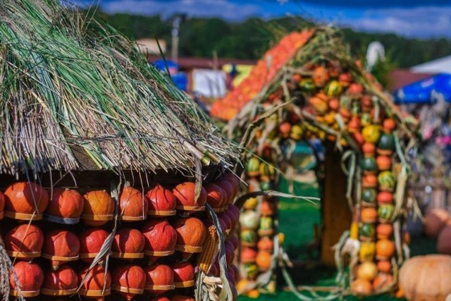 Odwiedzający Deli Park w Trzebawiu wciąż mogą korzystać z atrakcji dyniowych. Dekoracje będą dostępne jeszcze w najbliższy weekend, 19 i 20 października w godzinach od 10 do 18