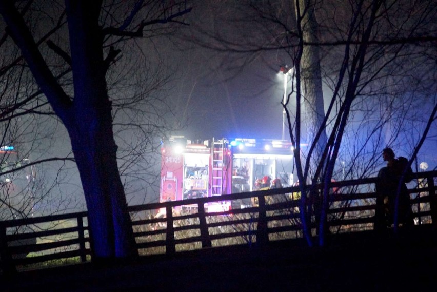 Pożar w rezerwacie archeologicznym na Zawodziu w Kaliszu