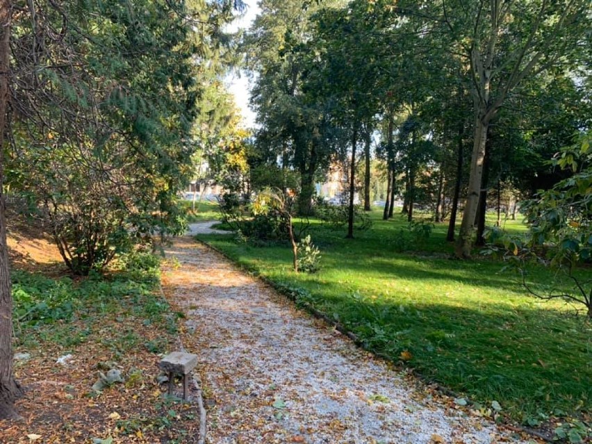 Zielona oaza w sercu Jeleniej Góry! Park przy Zameczku został uporządkowany! [ZDJĘCIA]