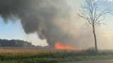 Spaleniu uległo jedenaście hektarów terenu rolniczego w Józefinowie