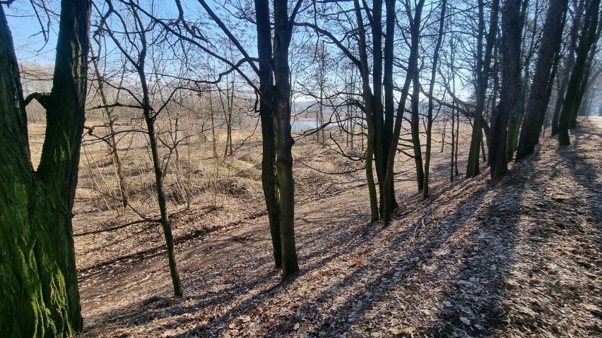 Grobla bieruńska i jej okolice