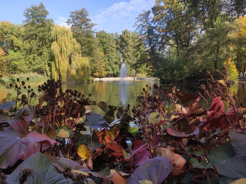 Złocisty Park im. Błachańca i Skwer ks. Popiełuszki w...