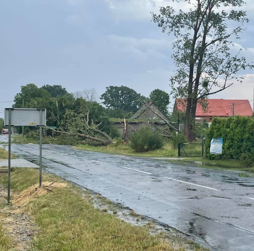 Duże zniszczenia po nawałnicy w powiecie oleśnickim. Straż do tej pory walczy z jej skutkami. Ile było wyjazdów? (30.7)