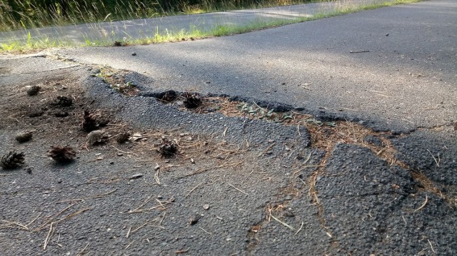 Głębokie to jedna z atrakcji turystycznych pow. międzyrzeckiego. Trasa pieszo - rowerowa, która tam prowadzi, atrakcją nie jest jednak na pewno...