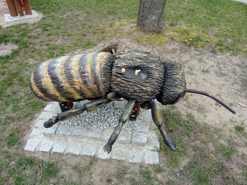 Wandale zniszczyli ogród dydaktyczny przyjazny pszczołom