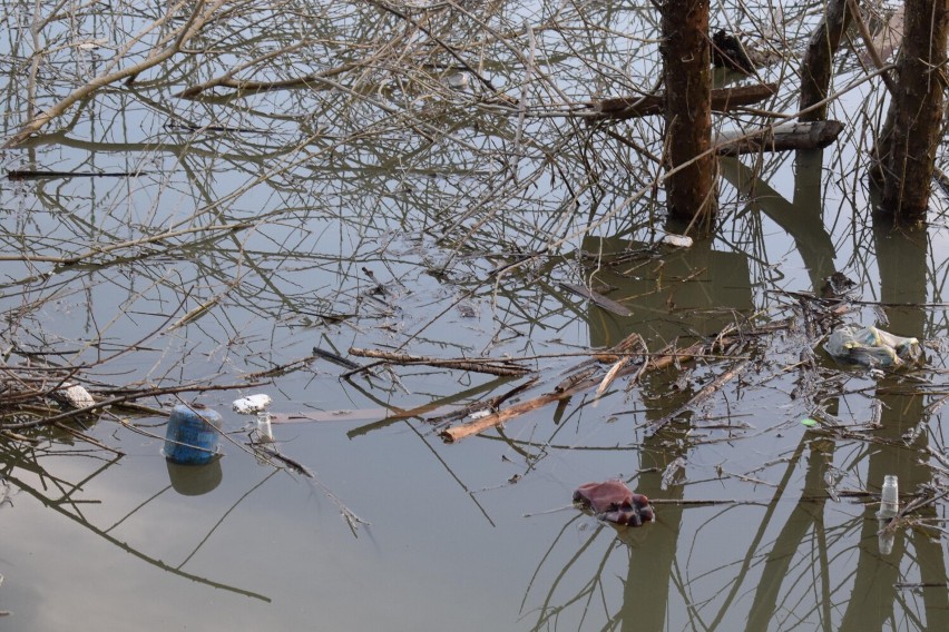 Jezioro Solińskie stało się wysypiskiem śmieci