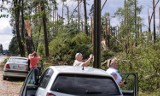 Cztery lata po nawałnicy z 2017 r. Żywioł spowodował straty w przyrodzie, ucierpiało wiele osób w Borach Tucholskich i na Krajnie [Zdjęcia]