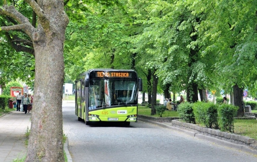 W gorzowskich autobusach i tramwajach można spotkać...