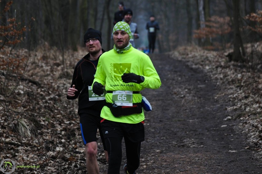 City Trail w Katowicach - zdjęcia z finałowego biegu [28 luty 2016]