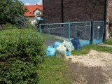 Ustawa śmieciowa w Wyrach: firma odbierająca śmieci nie dotrzymuje terminów