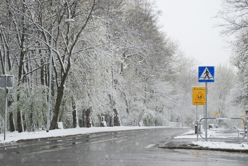 Ruda Śląska: Atak zimy. Pługi odśnieżają drogi ZDJĘCIA