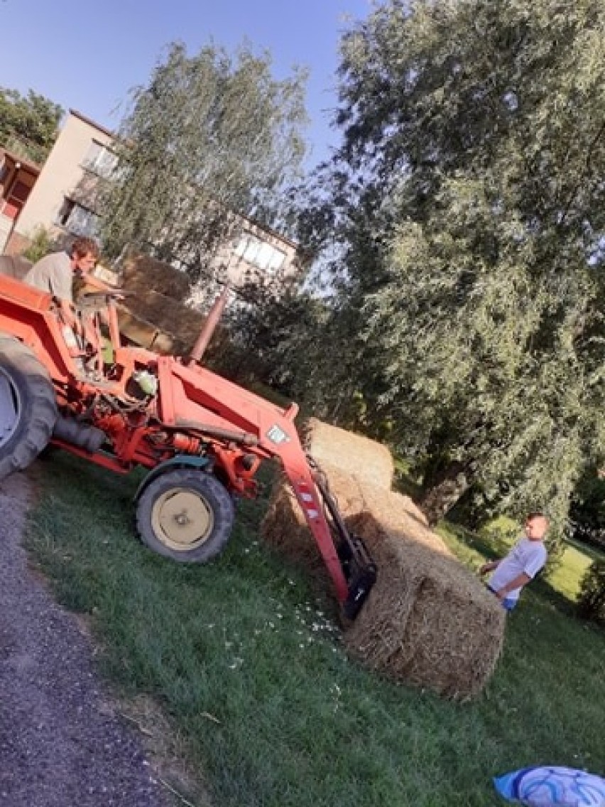 Powiat gostyński. Dożynki odwołane, ale mieszkańcy przygotowali pomysłowe witacze dożynkowe [ZDJĘCIA] 