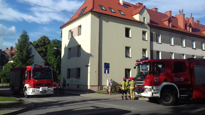 Przypalony kapuśniak w jednym z mieszkań przy ul....