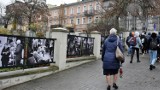Niezwykła wystawa  "Solidarni" w Chełmie.  Te fotografie chwytają za serce. Zobacz zdjęcia z wernisażu