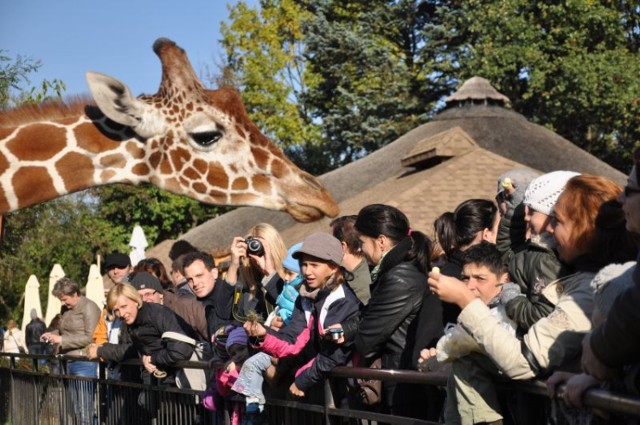 Wrocławskie zoo w czasie promocji biletowej 16 października 2011