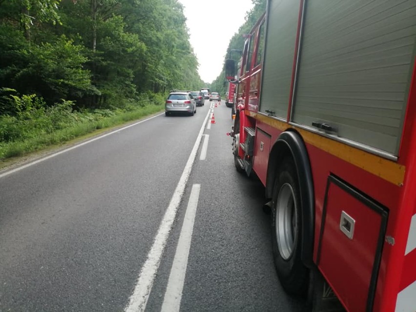 Bobrek. Jedna osoba ranna po zderzeniu auta z jeleniem