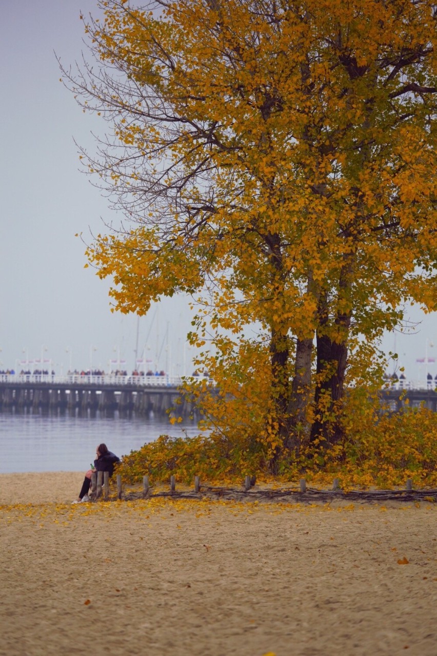 Sopot jesienią. Choć mgliście i nieco nostalgicznie, wciąż jest pięknie! Zdjęcia