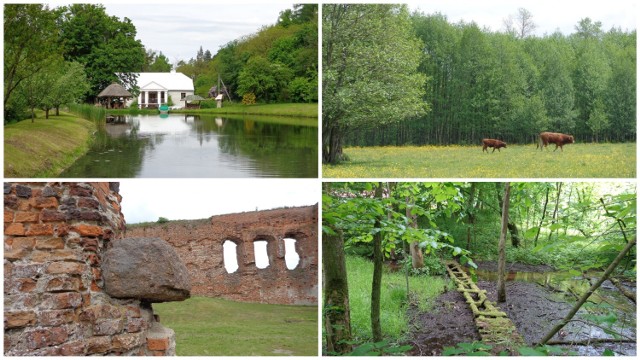Zobaczcie jak na zdjęciach wyglądają atrakcje turystyczny gminy Wąpielsk