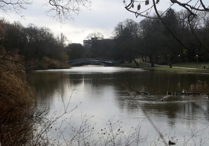 Park Kasprowicza w Szczecinie wkrótce z nową nazwą. Skąd taka decyzja?