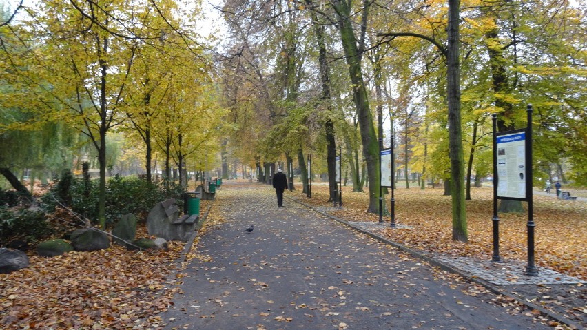 Zgarnęli liście w parku miejskim
