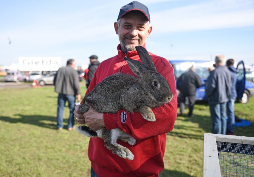 Piękna pogoda przyciągnęła ludzi na Giełdę Wschód w Skołoszowie [ZDJĘCIA]