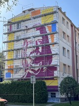W Rzeszowie powstaje mural z Tadeuszem Nalepą. Zostanie odsłonięty podczas festiwalu Breakout Days