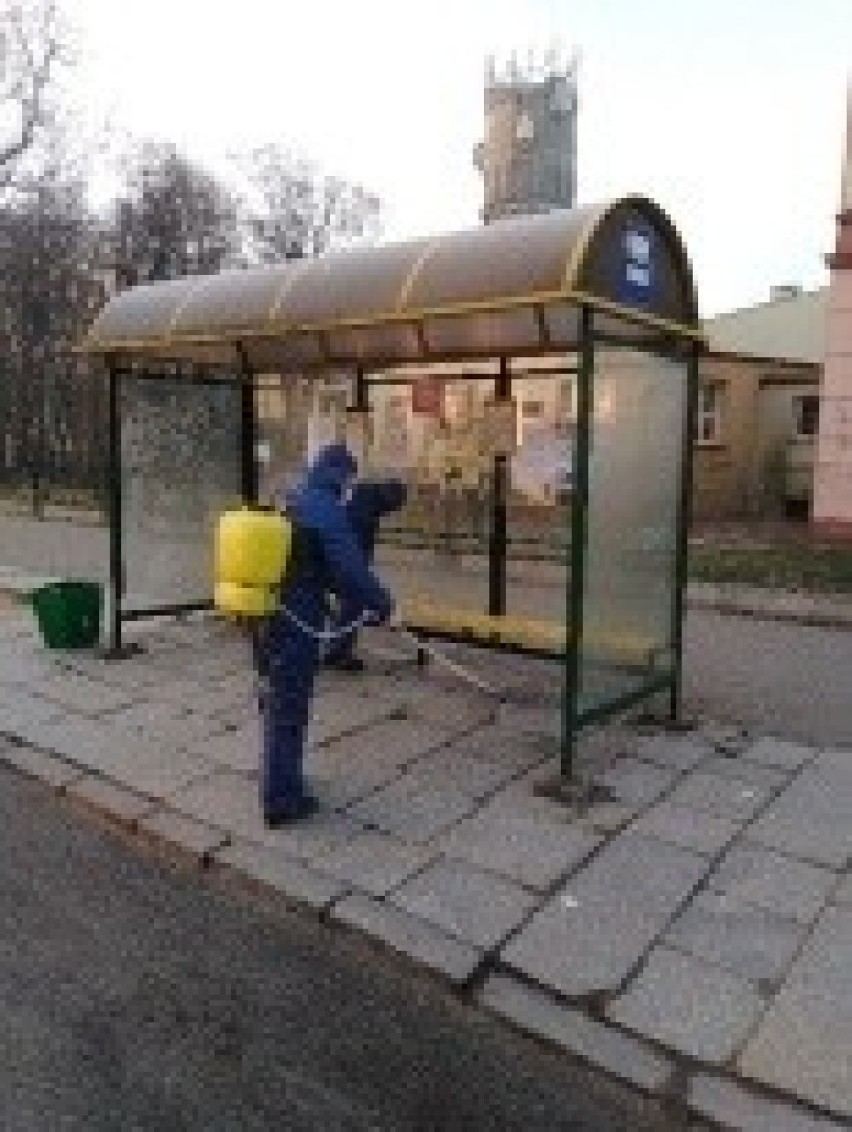 Koronawirus. Na terenie Sandomierza ruszyła dezynfekcja miejskich przystanków (ZDJĘCIA) 