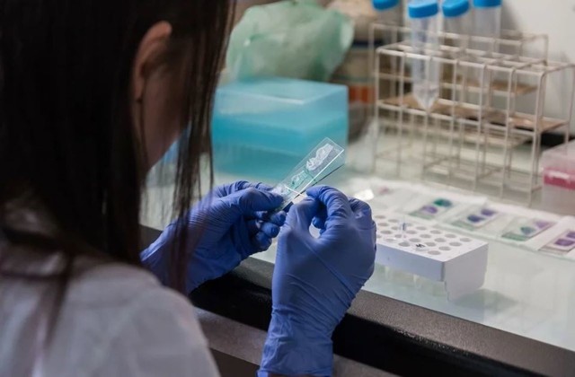 Testy na koronawirusa na Śląsku wciąż wykonywane są w niewielkim zakresie.