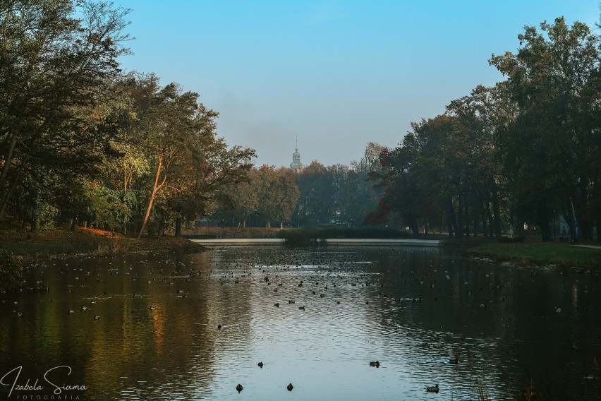 Syców: Jesienny Park Miejski w obiektywie Izabeli Siamy [ZDJĘCIA]