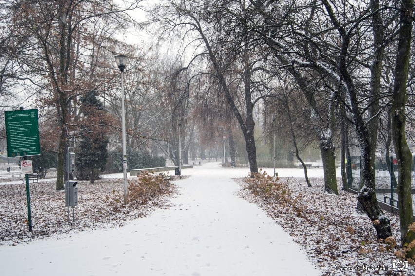 Pleszew. Miasto po raz pierwszy w zimowej szacie, bajecznie piękne krajobrazy