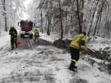 Przez mokry śnieg powalone drzewa, zerwane linie energetyczne. Strażacy w akcji